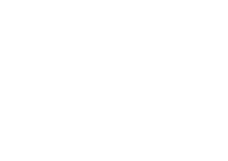 The Lost Cactus